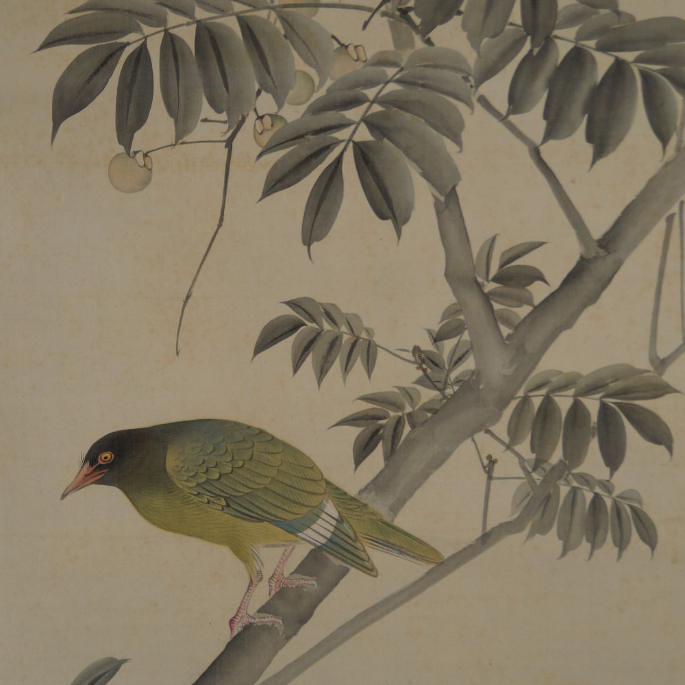 Close-up of the bird with a yellow-red-rimmed eye on the fruit tree branch in the Kakemono Bird on Fruit Tree