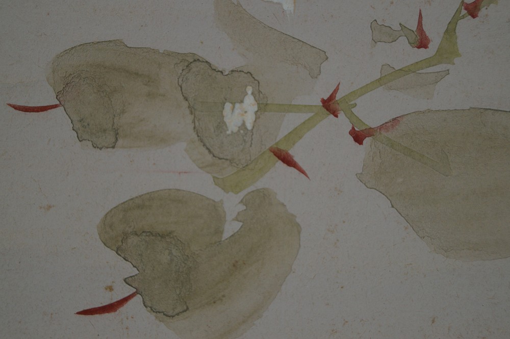 Kakemono Flower Flower Motif Close-Up 3