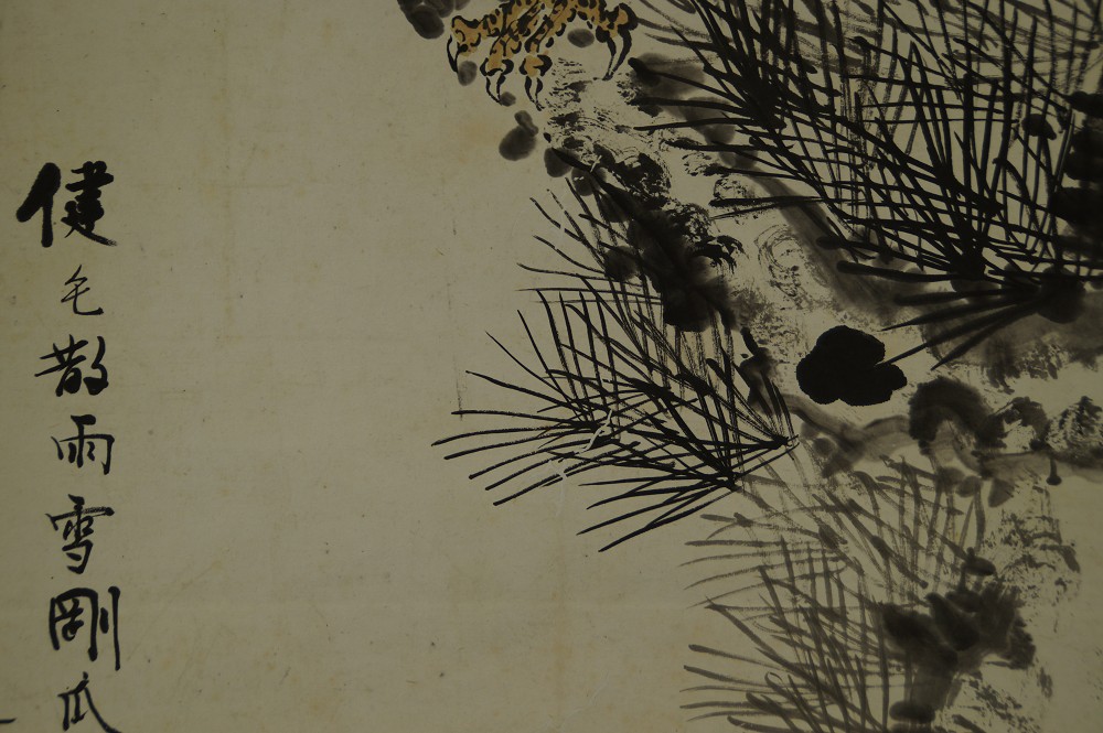 Falcon Calligraphy Close-Up