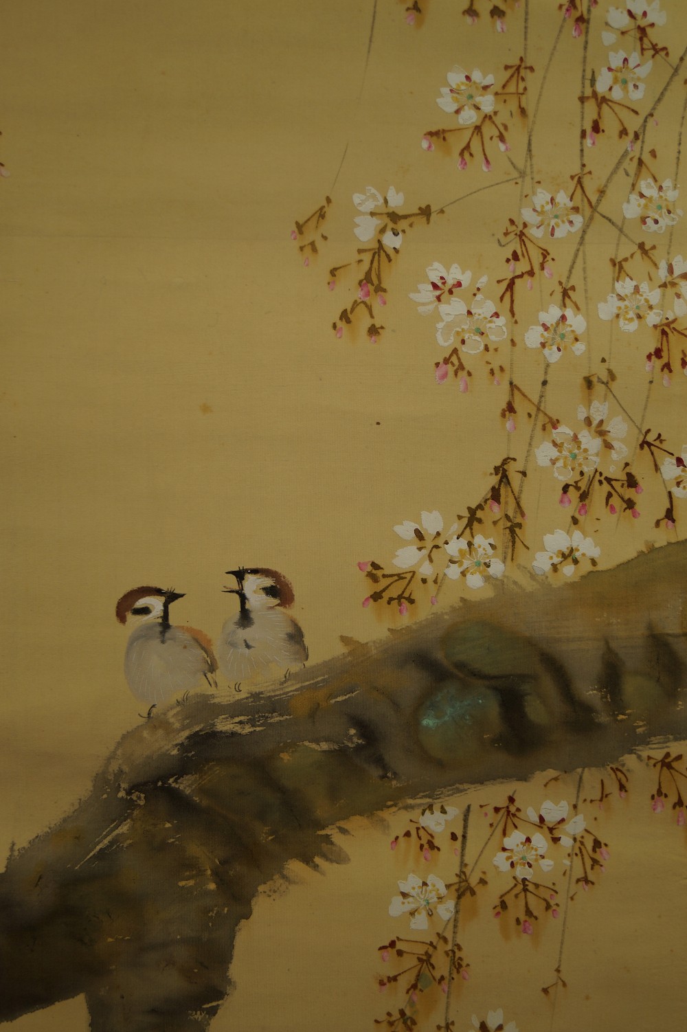 Zwei Spatzen auf dem Sakura Zweig - Japanisches Rollbild (Kakejiku, Kakemono)