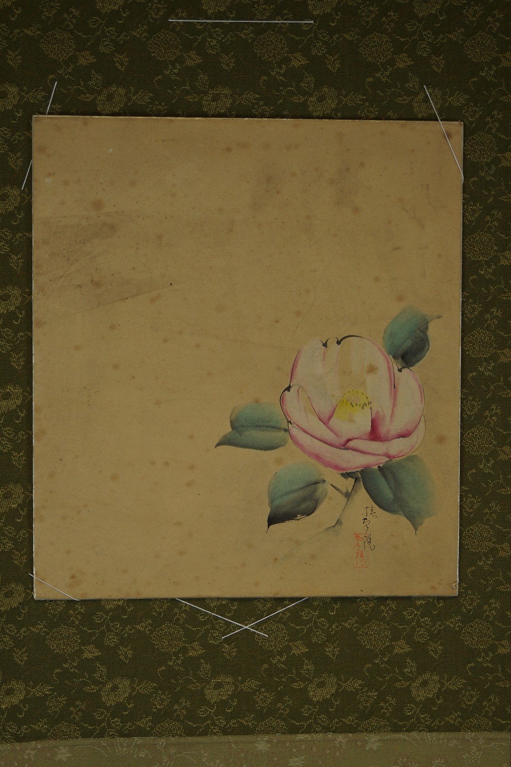 Shikishi Rose mit Einfassung Nahaufnahme