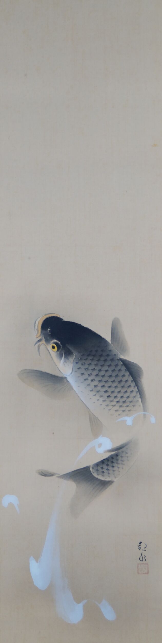 Full motif of two ascending carp in the kakemono without mounting, with artist's signature