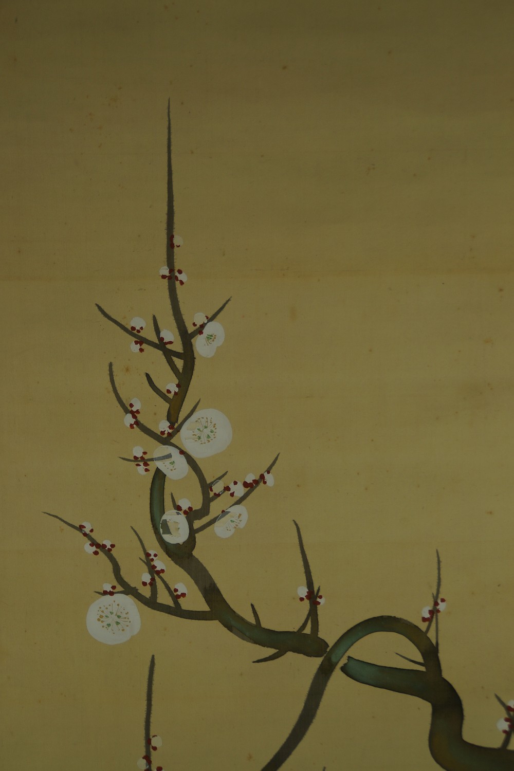 Blossoming Plum Branch by Sakai Houki Plum Blossom Motif Close-Up 1
