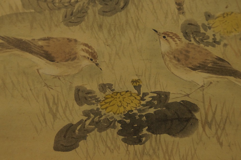 Close-Up of the Two Birds Pecking on the Ground Among the Chrysanthemums