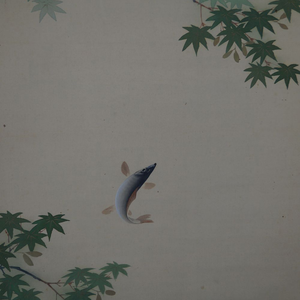 Nahaufnahme des springenden Ayu-Fisches zwischen Ahornzweigen im Kakemono Ayu-Fische in der Stroemung