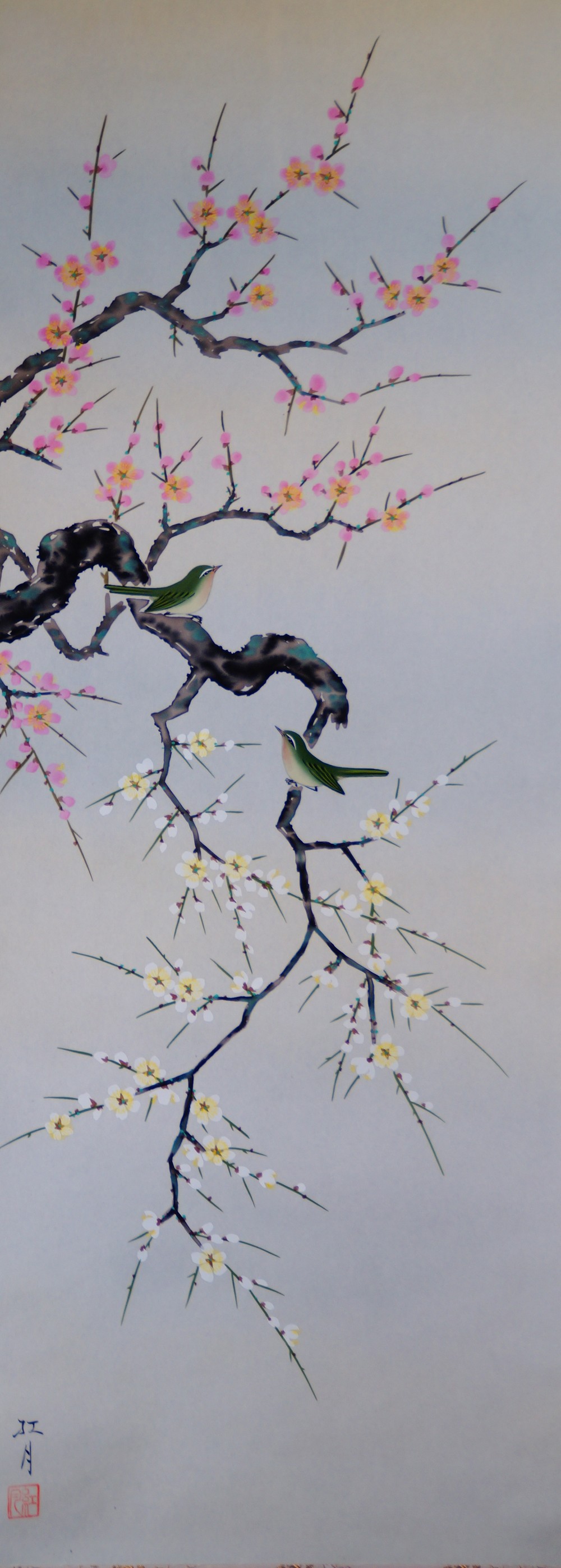 Two white-eyes on a blossoming plum branch in the hanging scroll by Koizumi Kogetsu with artist's signature and red seal