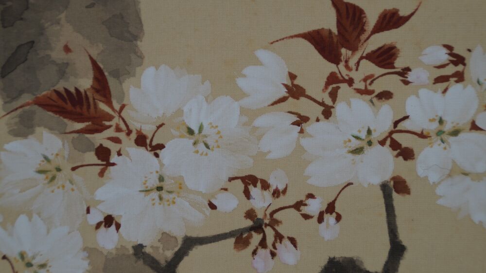 Another close-up of the densely blooming cherry blossoms in the hanging scroll Spring at the Old Cherry Tree