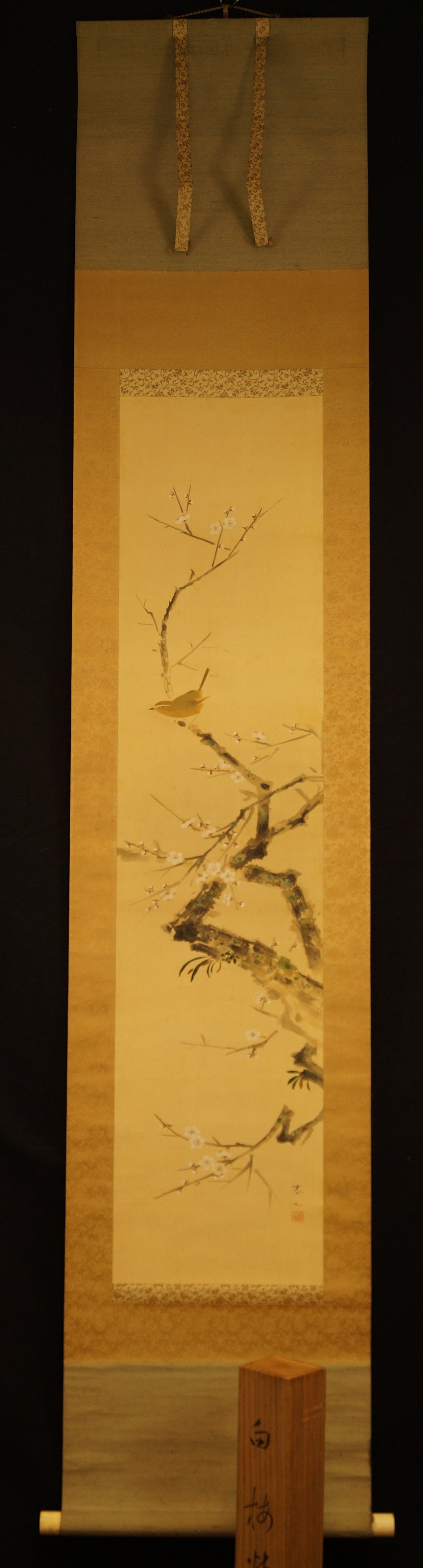 Bird on a cherry tree branch by Yasuyama Tachiwaki full view hanging scroll