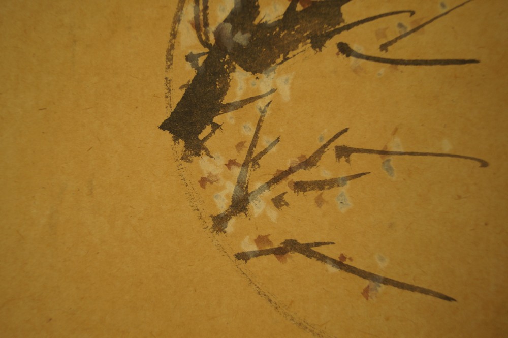 Old Zen Monk under Cherry Blossoms Cherry Blossom Motif Close-Up