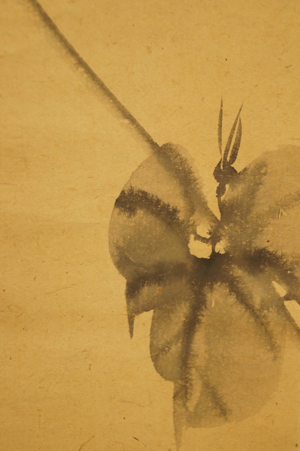 Schnecke auf der Lotusblume Bluete Motiv Nahaufnahme