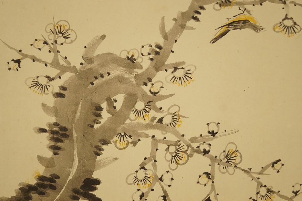 Nightingale in flight over gnarled cherry branch with blossoms Nightingale Motif Close-up 1