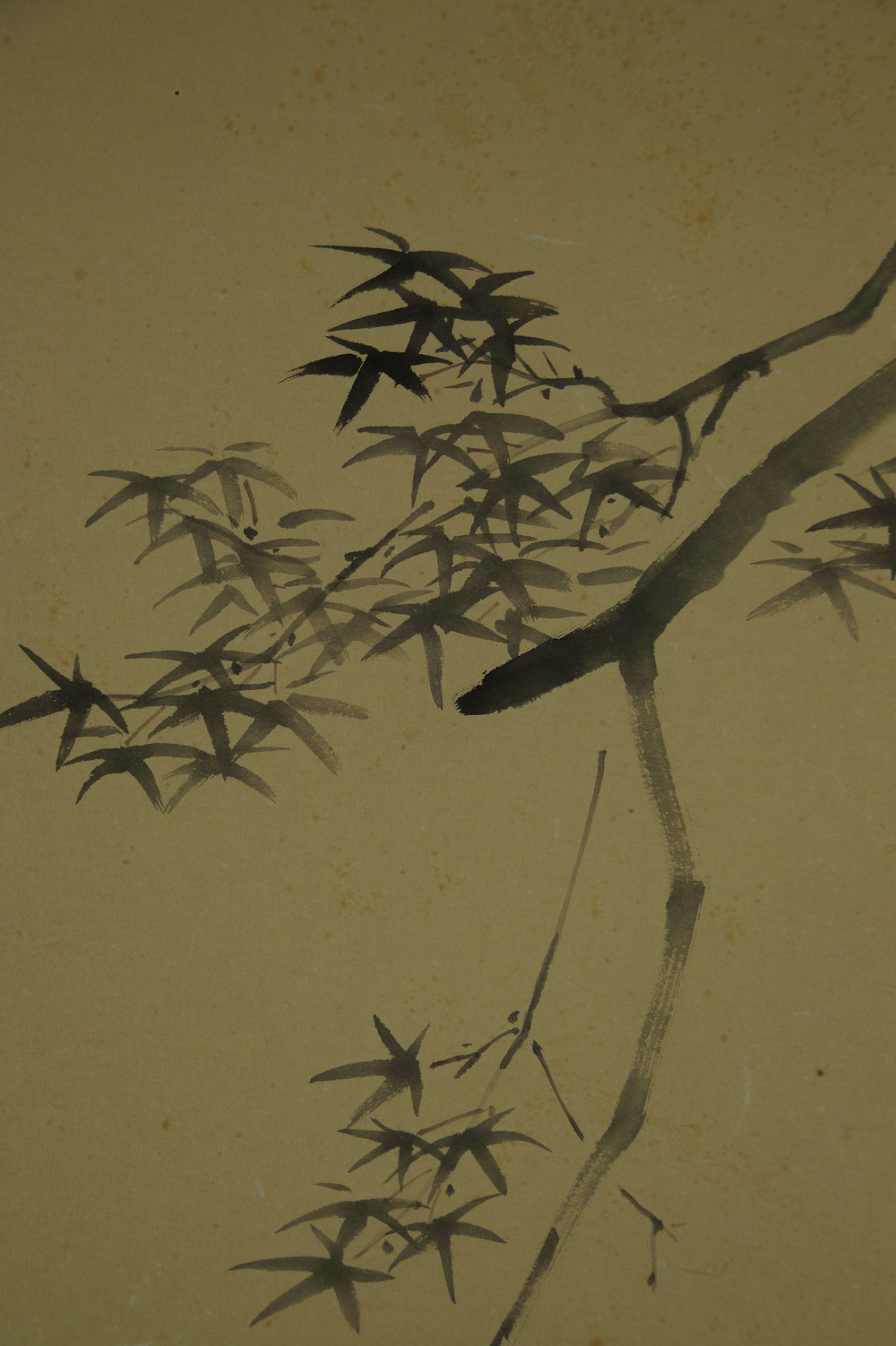 Sayori Fish by Kawashima Tomiji Bamboo Motif Close-Up 2