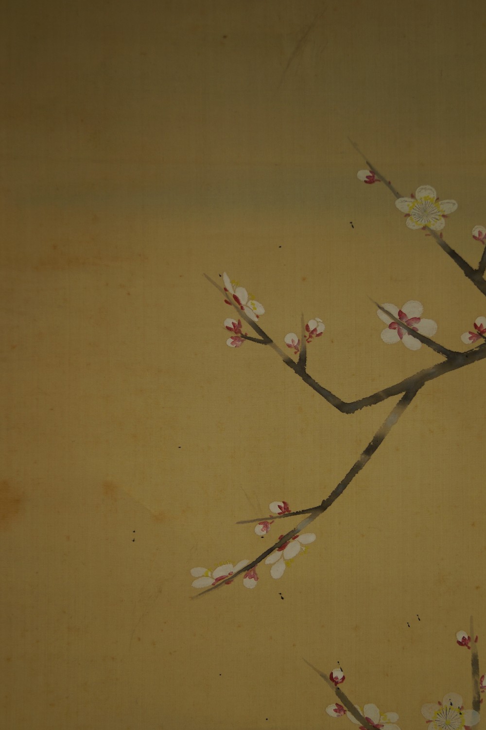 Bird and plum blossoms by Hiroshi Matsuda blossom motif close-up 1