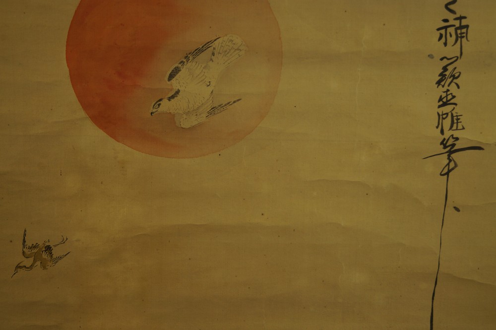 Hawk Hunting Hawk Motif Close-Up 3