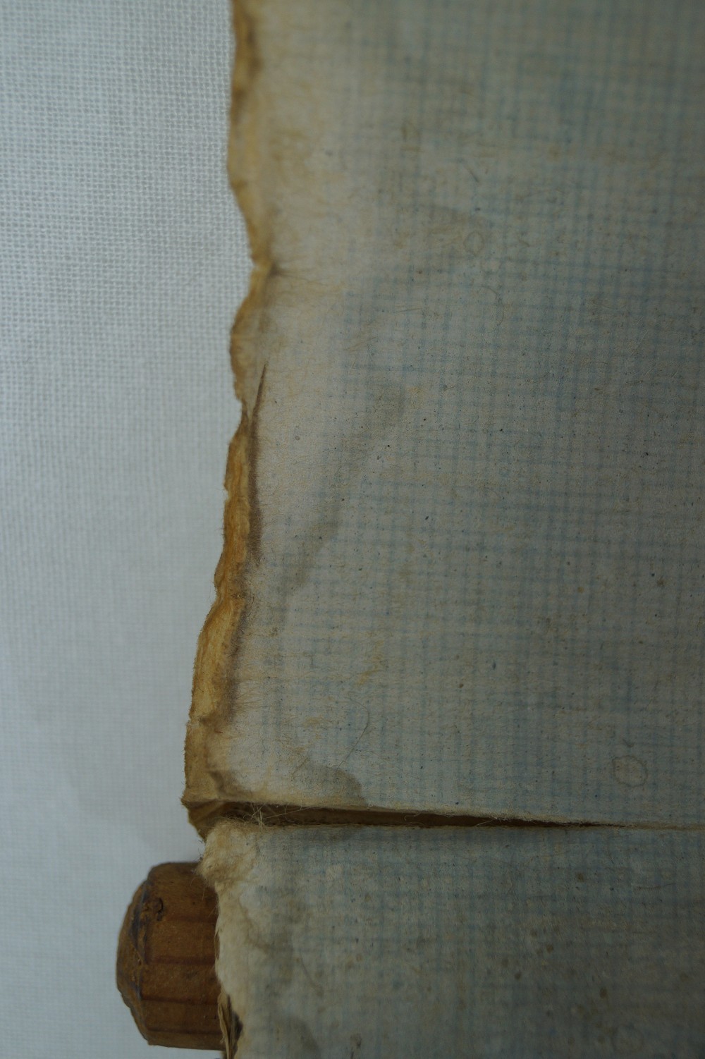 Koi Hanging Scroll Mounting Detail 3