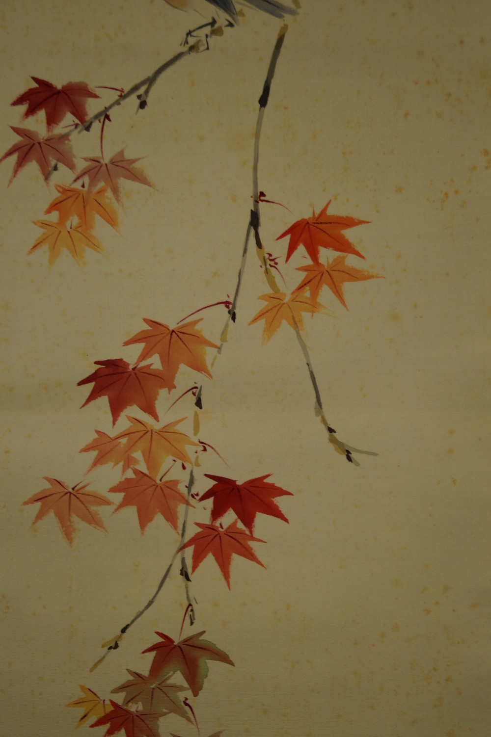 Bird on a Maple Branch by Suma Natsugo Maple Leaves Motif Close-Up
