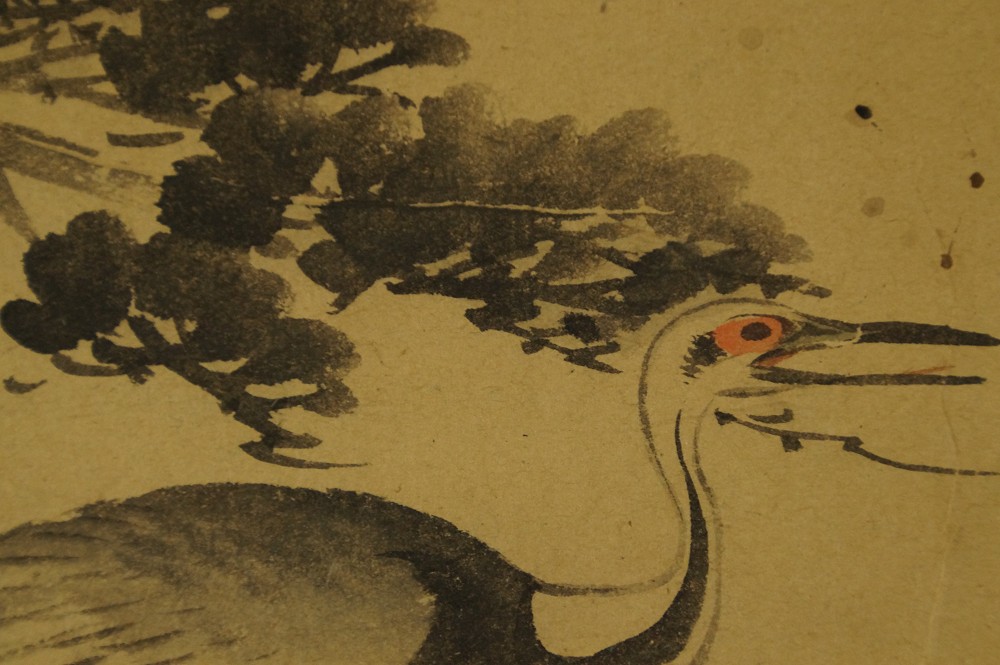 Close-Up of the Attentively Gazing Crane in Front of the Pine