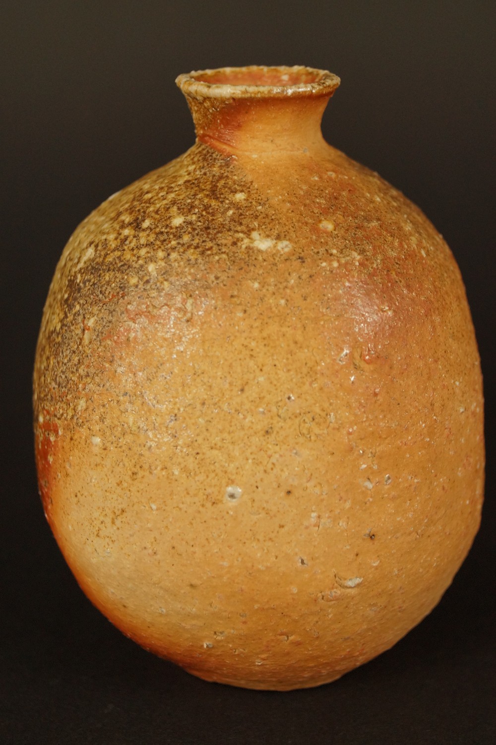 Shigaraki tokkuri side view with ash glaze tokkuri side view