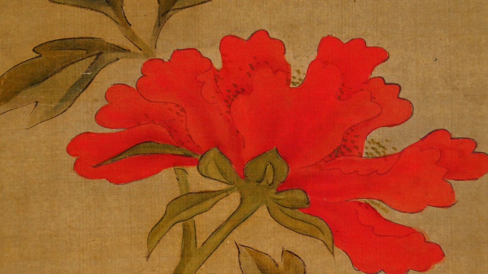 Macro shot of a single red peony blossom