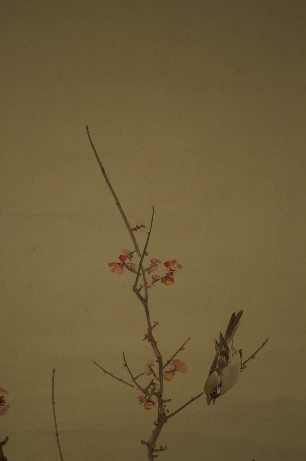 Sparrows on a Plum Branch Hanging Scroll Plum Branch and Sparrows Close-Up 1