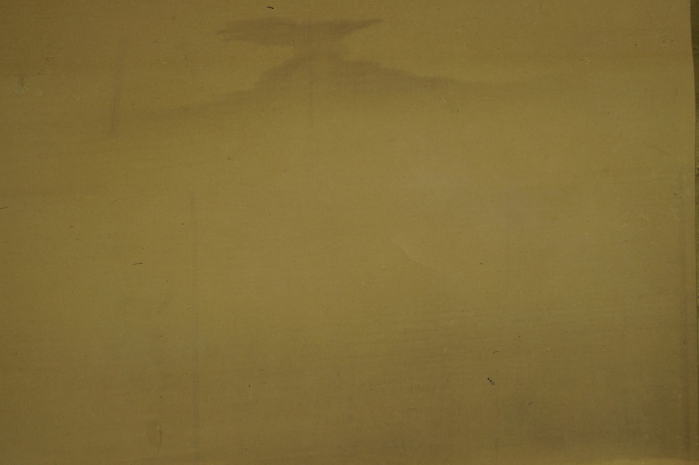 The Man and the Bird Bird Close-Up 1