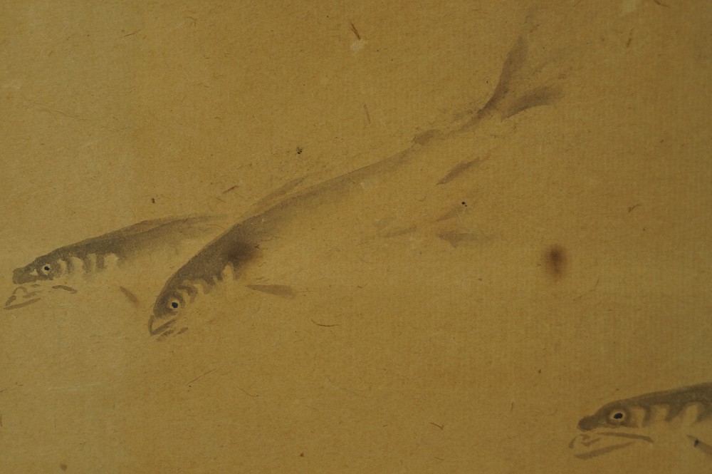Koi hanging scroll fish motif close-up