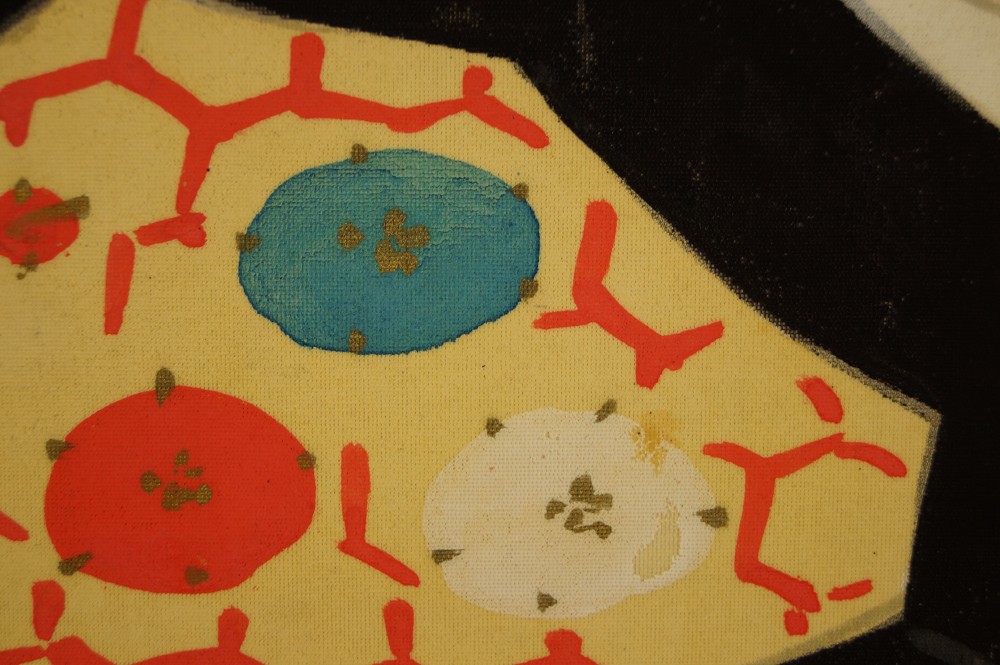 Beauty obi motif close-up