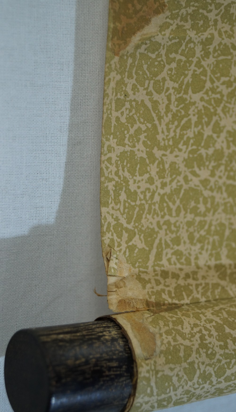 Peony Hanging Scroll Scroll Detail 1