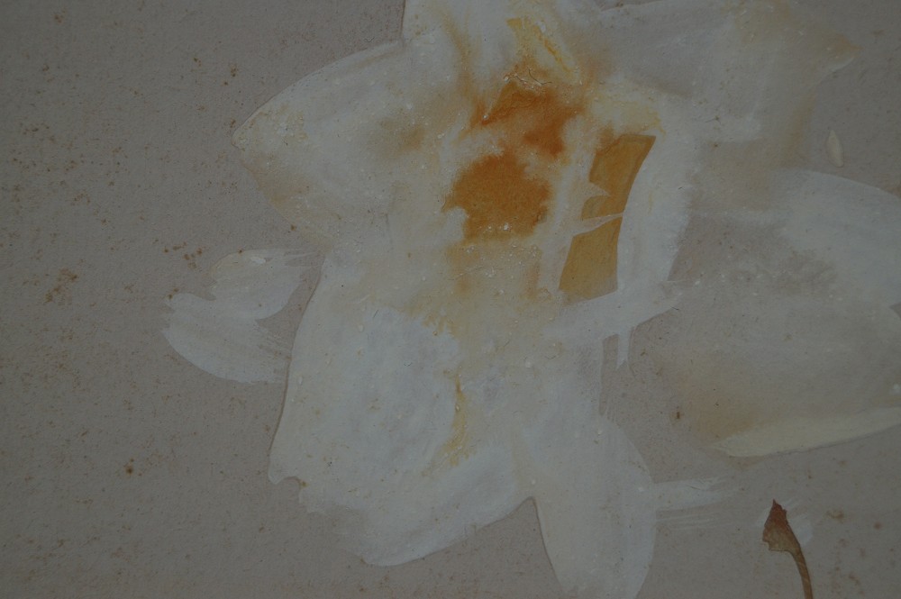 Kakemono Flower Flower Motif Close-Up 2