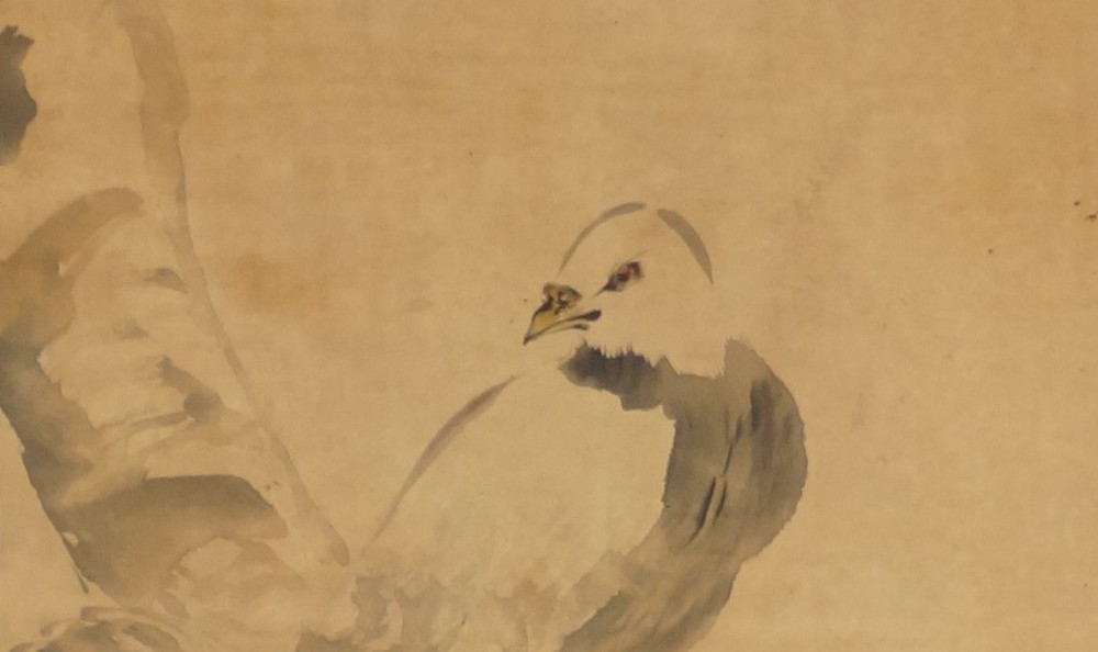 Kakemono by Suzuki Shōnen: dove on a branch, in bold ink.