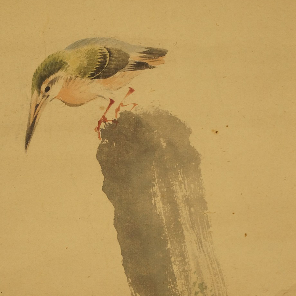Kingfisher looks down from a moss-covered tree stump motif close-up preview