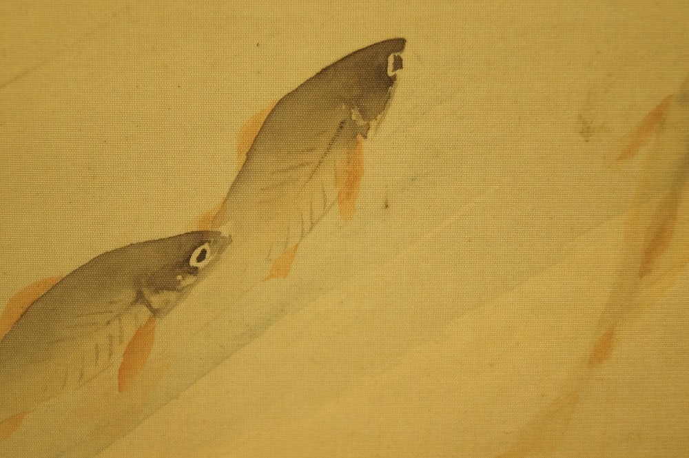 Zwei Fische im Wasser Nahaufnahme Motiv Nahaufnahme 4