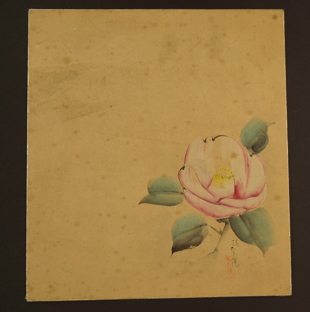 Shikishi Rose Gesamtmotiv