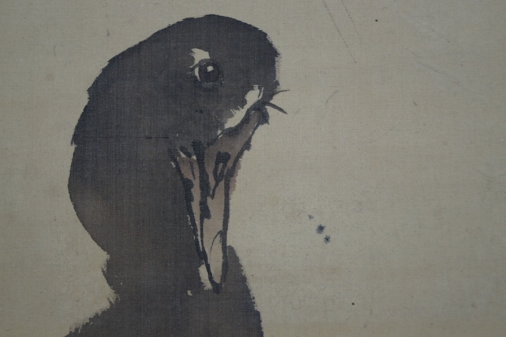 Zwei Enten Rollbild Kopf-Motiv Nahaufnahme 2
