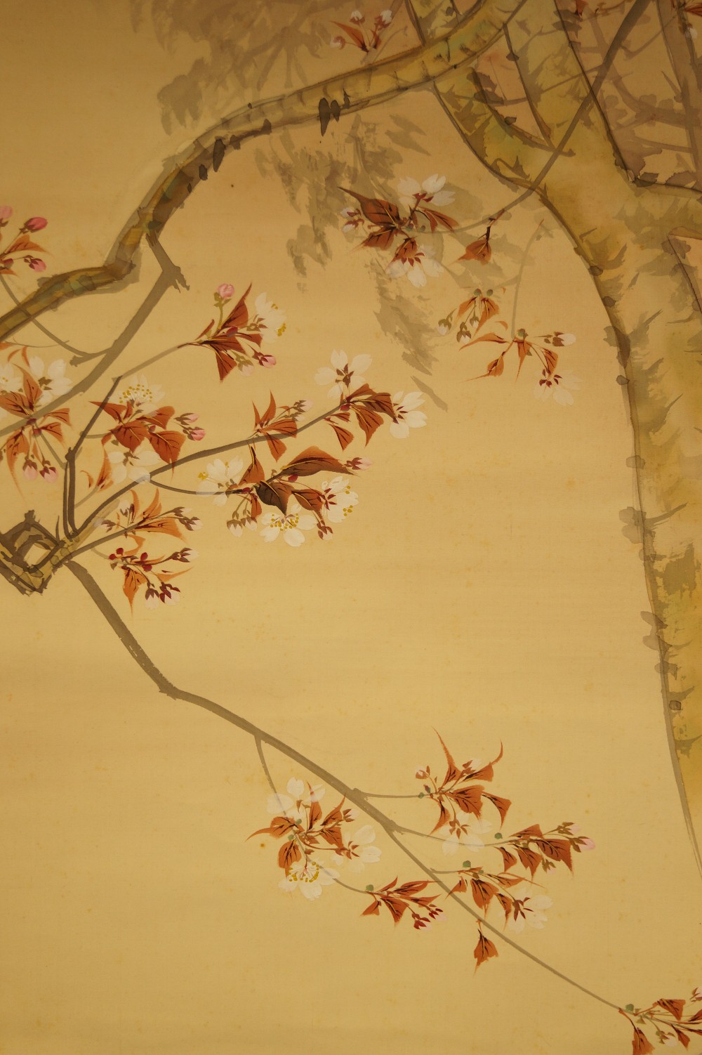 Pheasants at Cherry Tree by Mano Kamura Cherry Blossom Close-Up