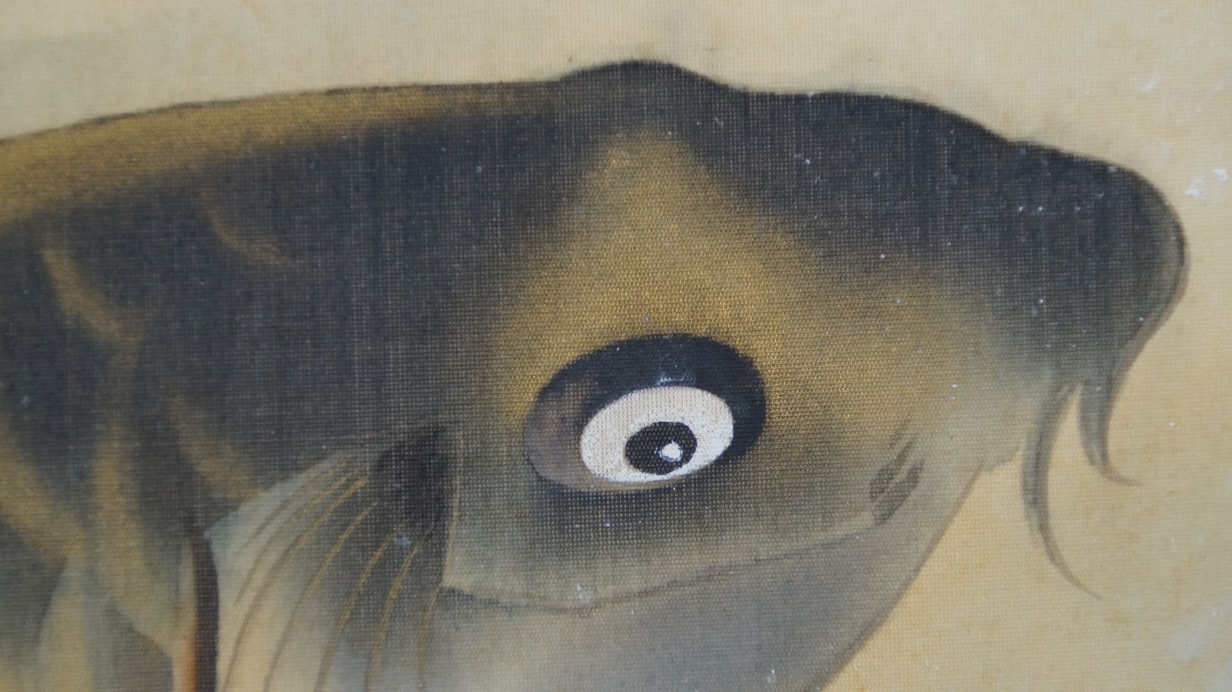 Extreme close-up of the carp's eye in the kakemono Carp in the Turbulent Waterfall