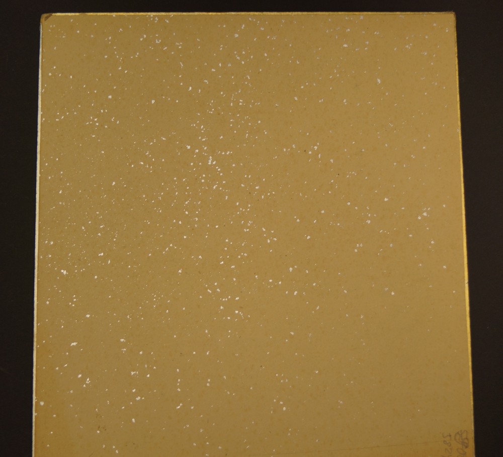 Shikishi Landschaft Rueckansicht 2