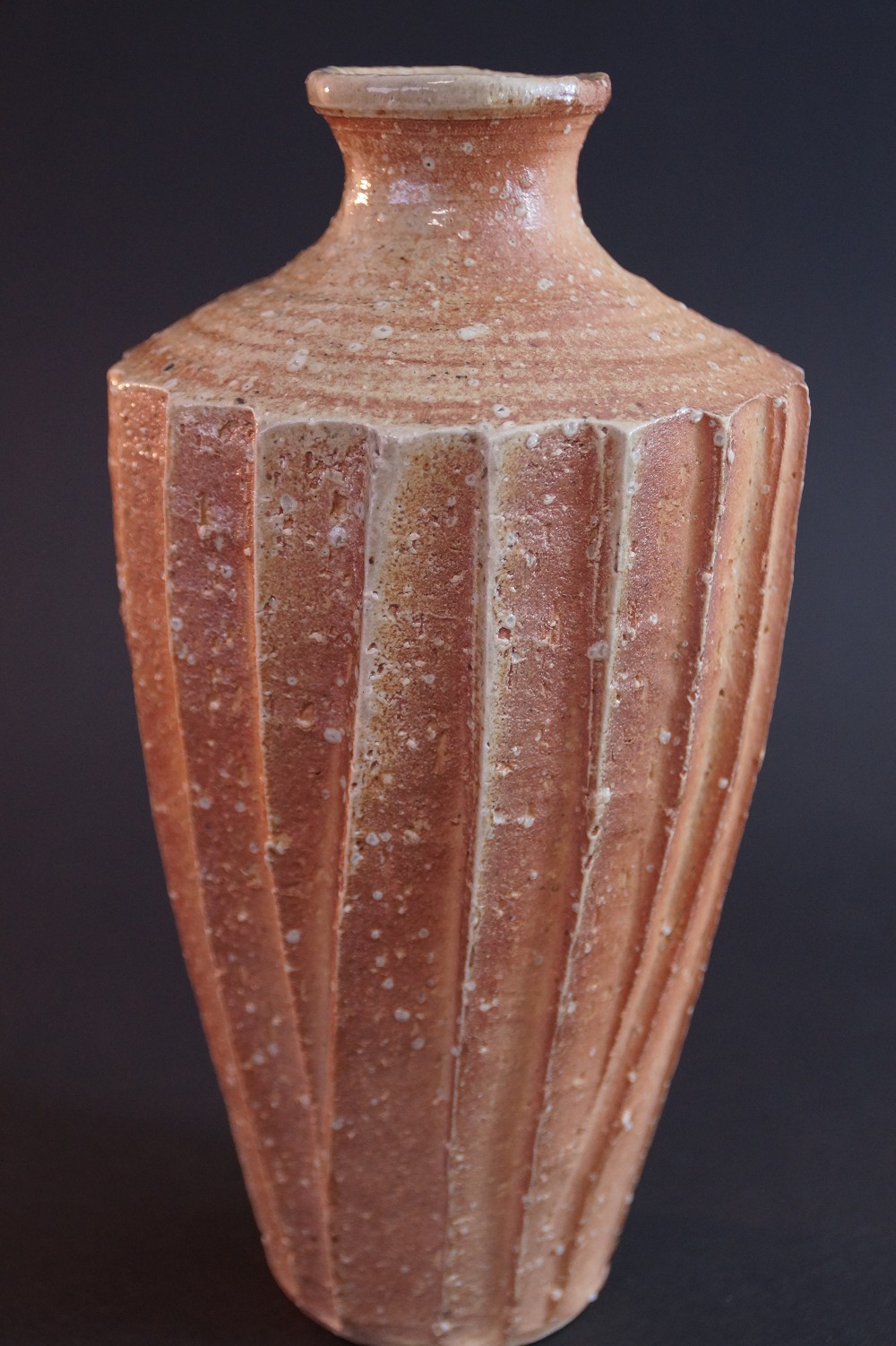 Shigaraki Vase by Takahashi Rakusai Side View 2