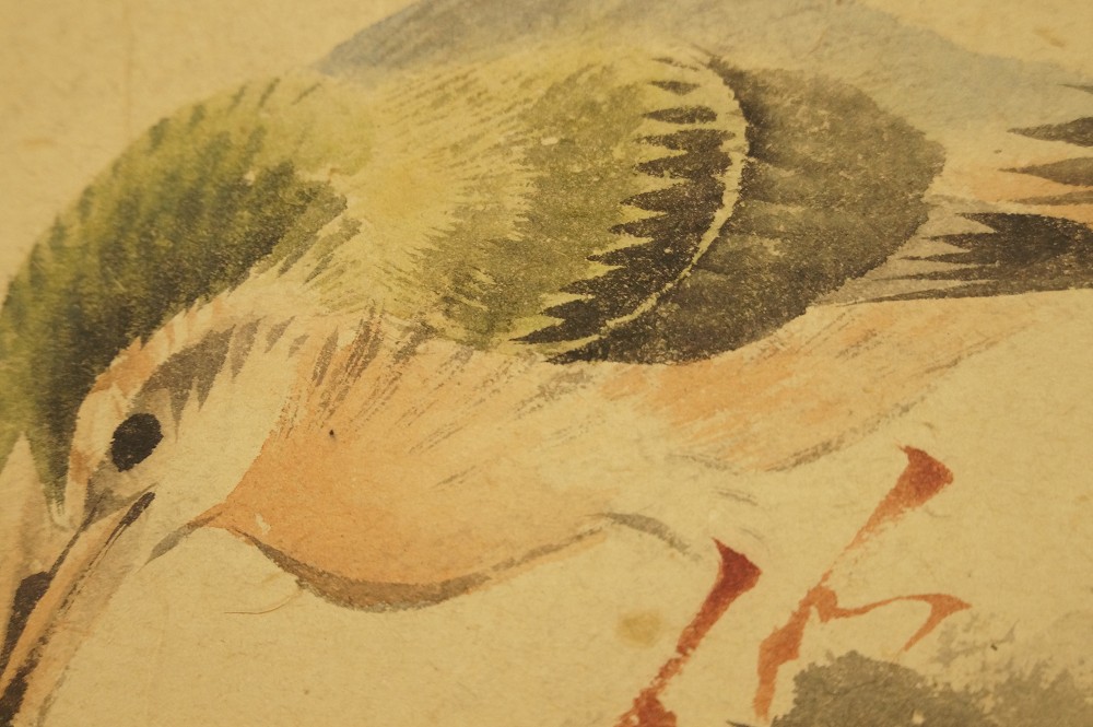 Eisvogel auf einem Ast - japanisches Rollgemälde (Kakejiku, Kakemono)