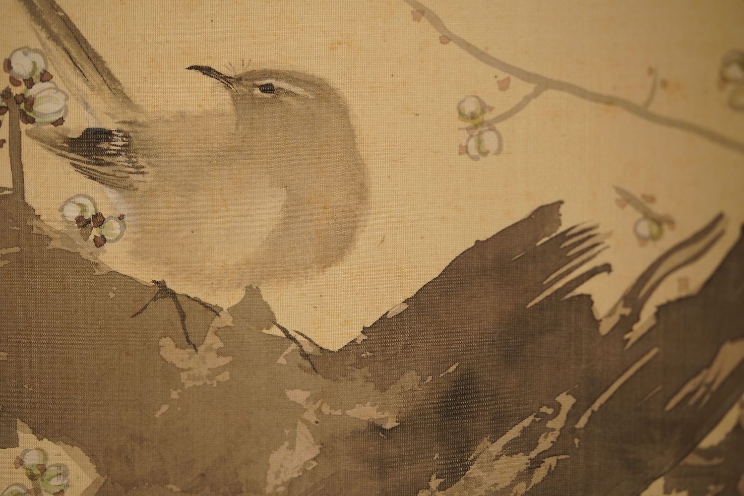 Close-up of the songbird among plum blossoms and rock in the kakemono Songbird on Blooming Plum Tree