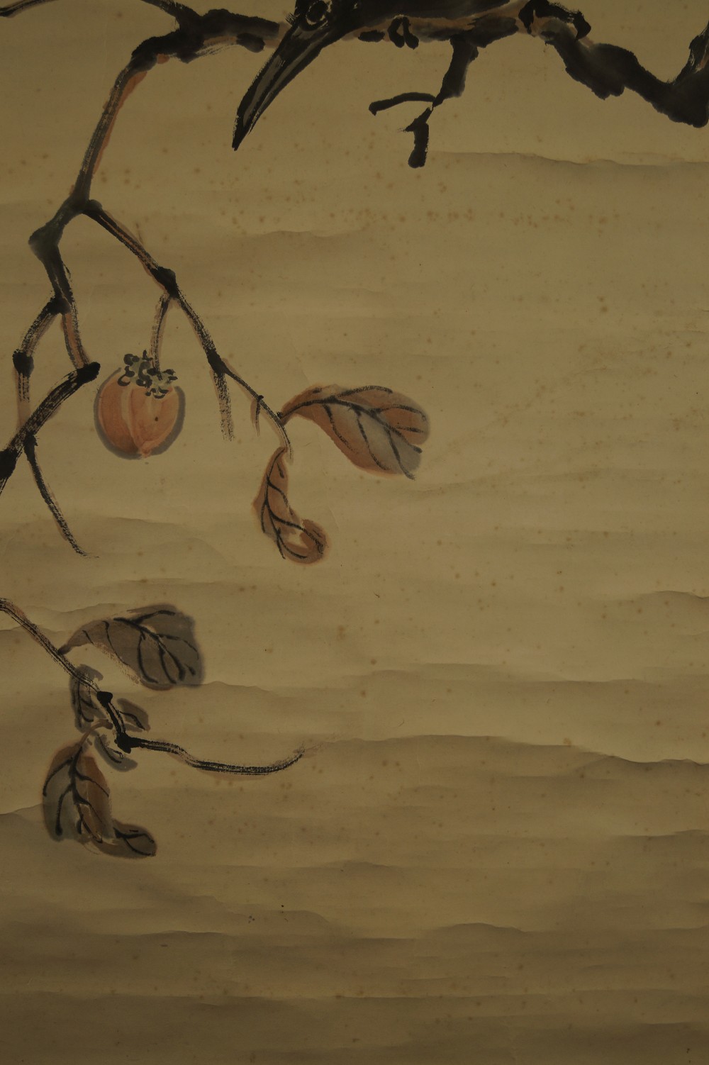 Japanese hanging scroll crow close-up of kaki motif 1