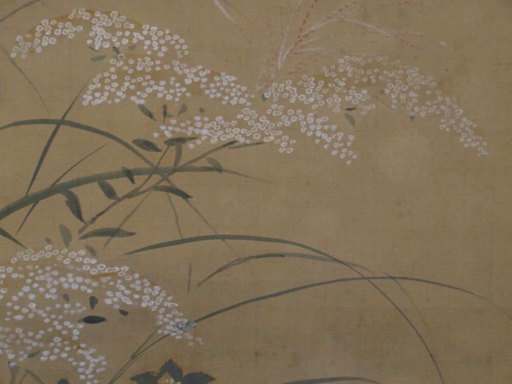 Macro Shot of the White Autumn Blossoms in the Kakemono Quails in Autumn Grass