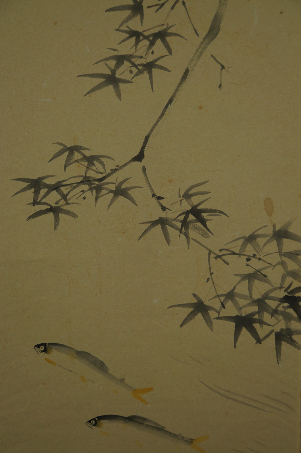 Sayori Fish by Kawashima Tomiji Sayori Motif Close-Up 1
