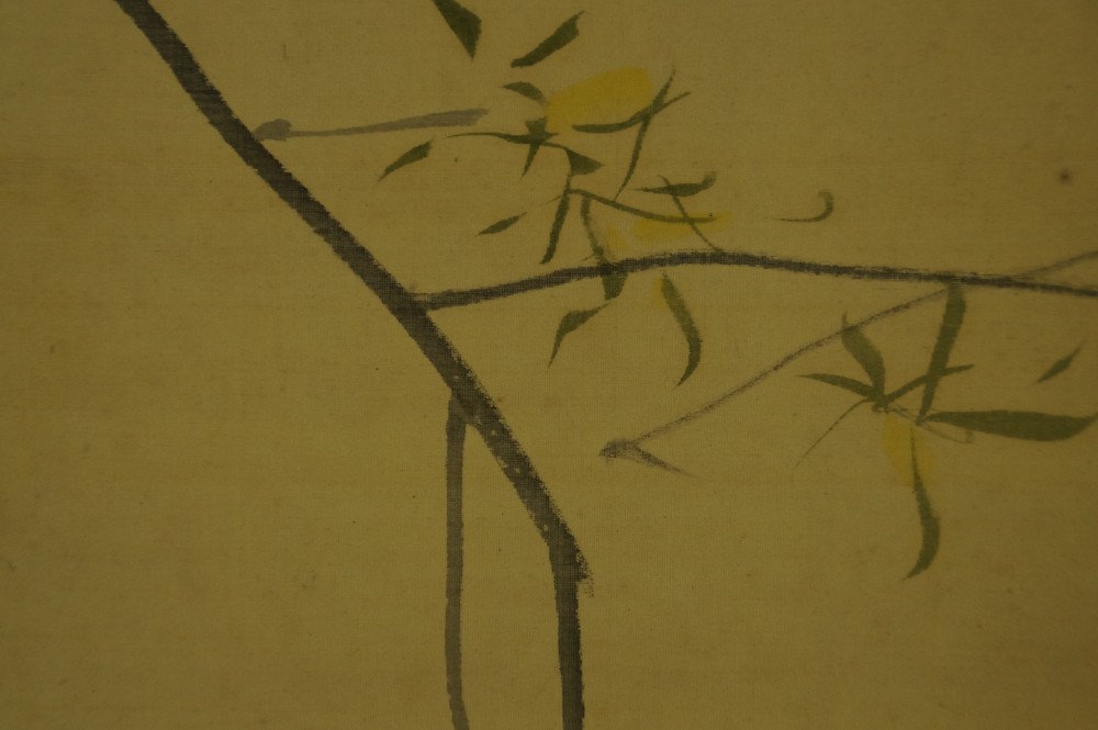Bird on a willow branch by Kijika Sakuradani willow branch close-up 2