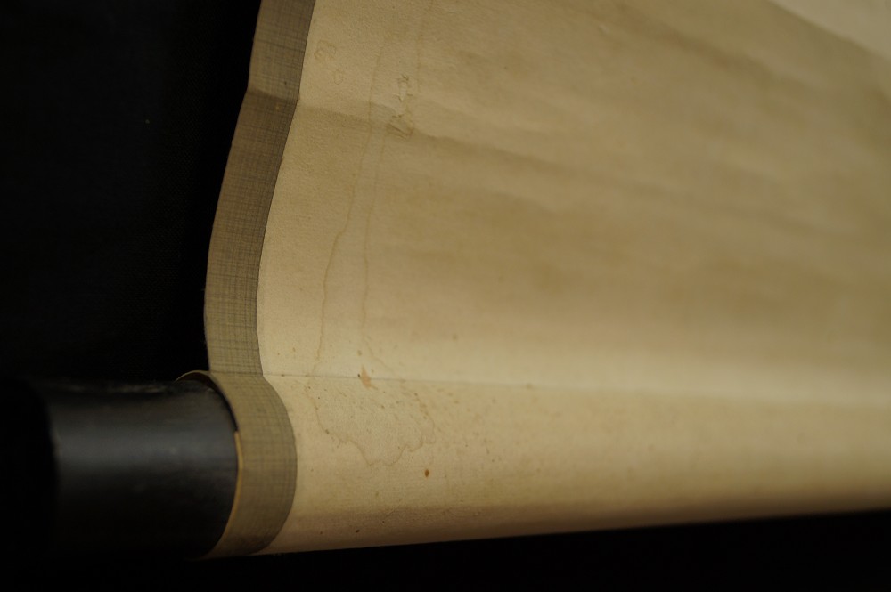 Drache Rollendetail