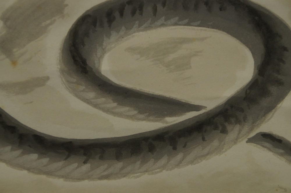 Snake by Kozan snake motif close-up 3
