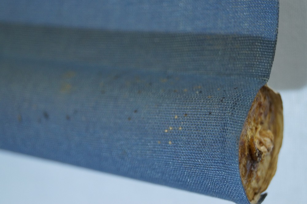 Mond Rollbild Rollendetail