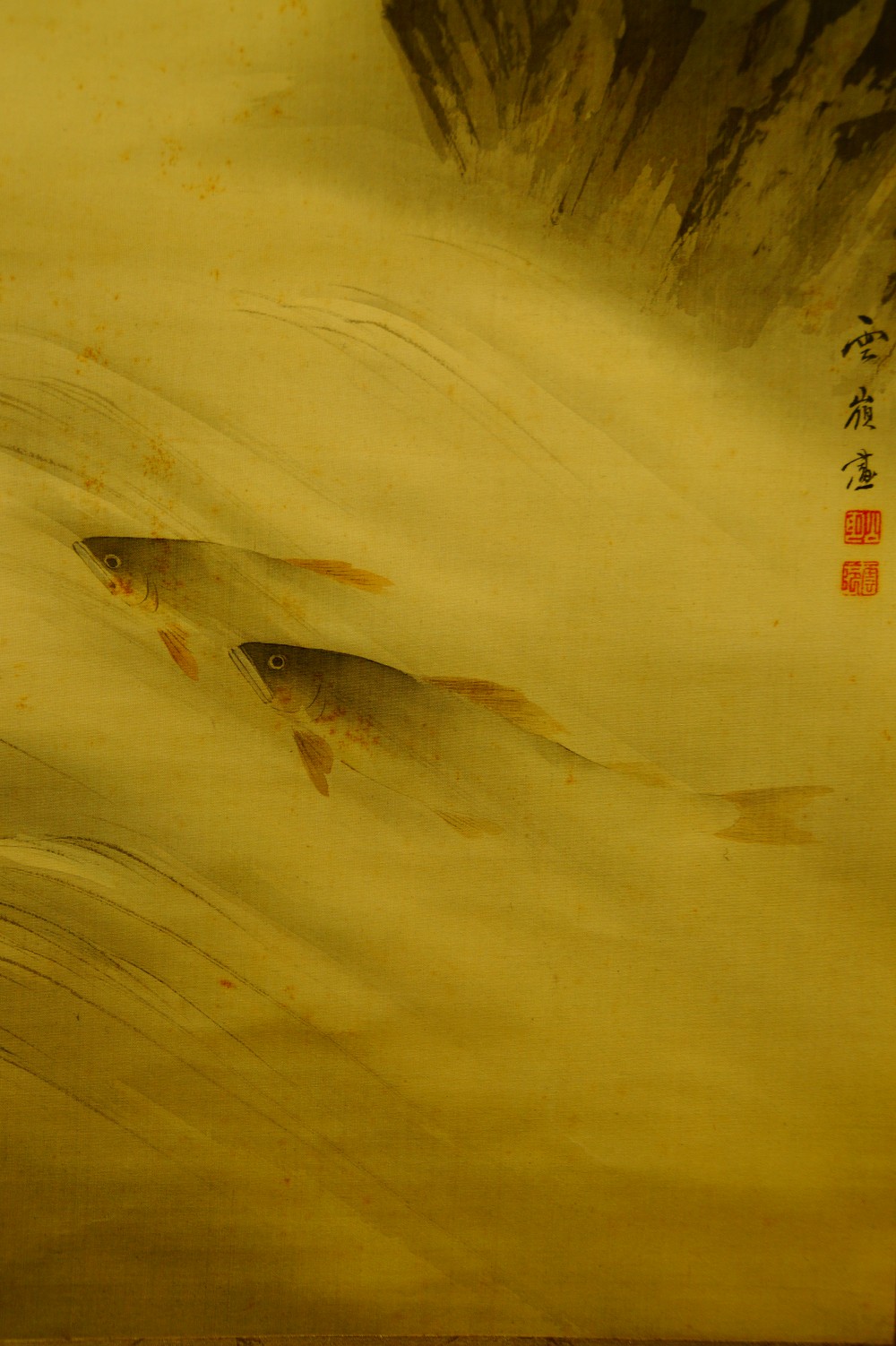 Two trout in the water kakemono by Akamatsu Unrei trout motif close-up