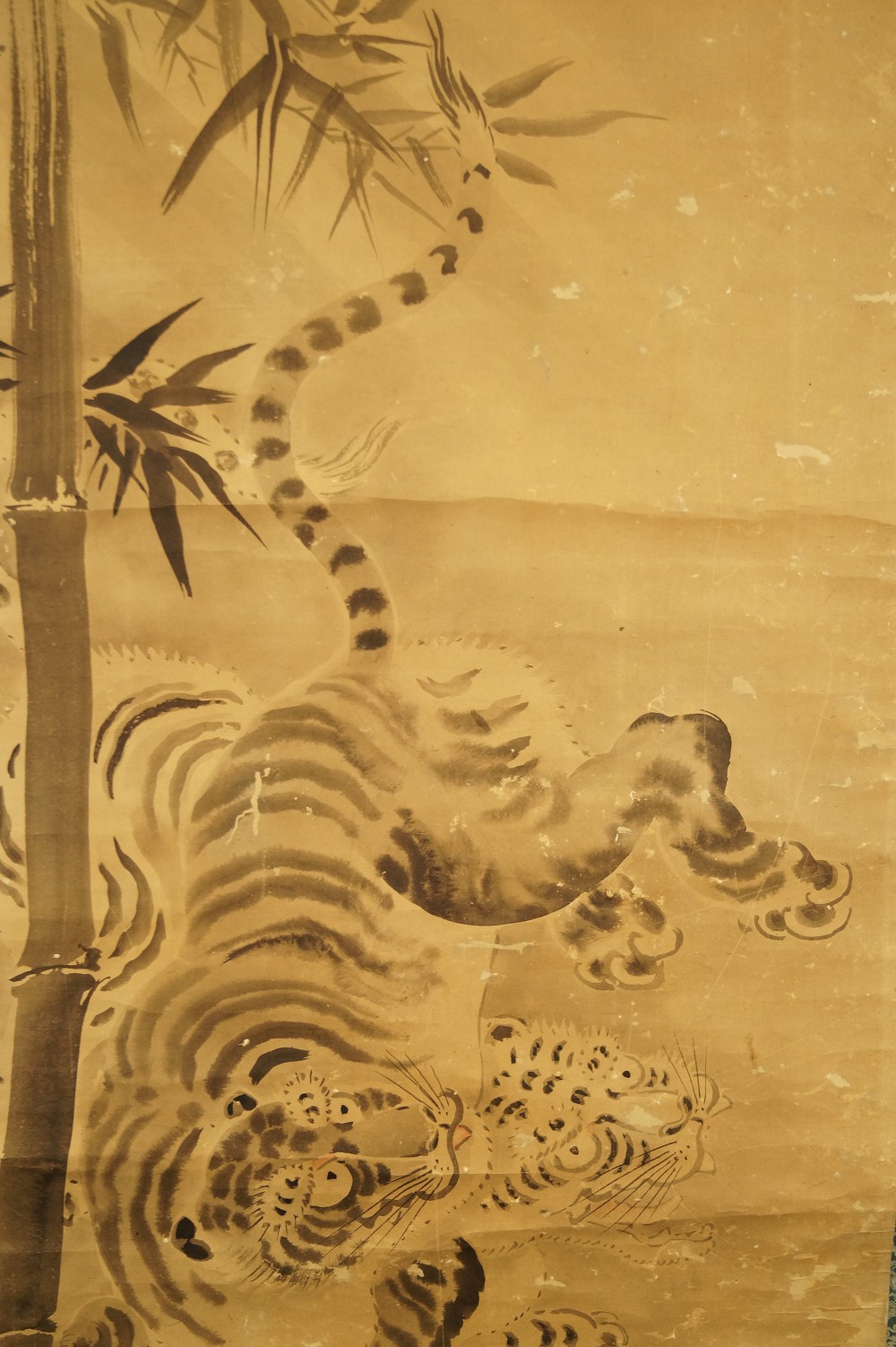 Two Playing Tigers by Tanaka Koga Paw and Seal Close-Up
