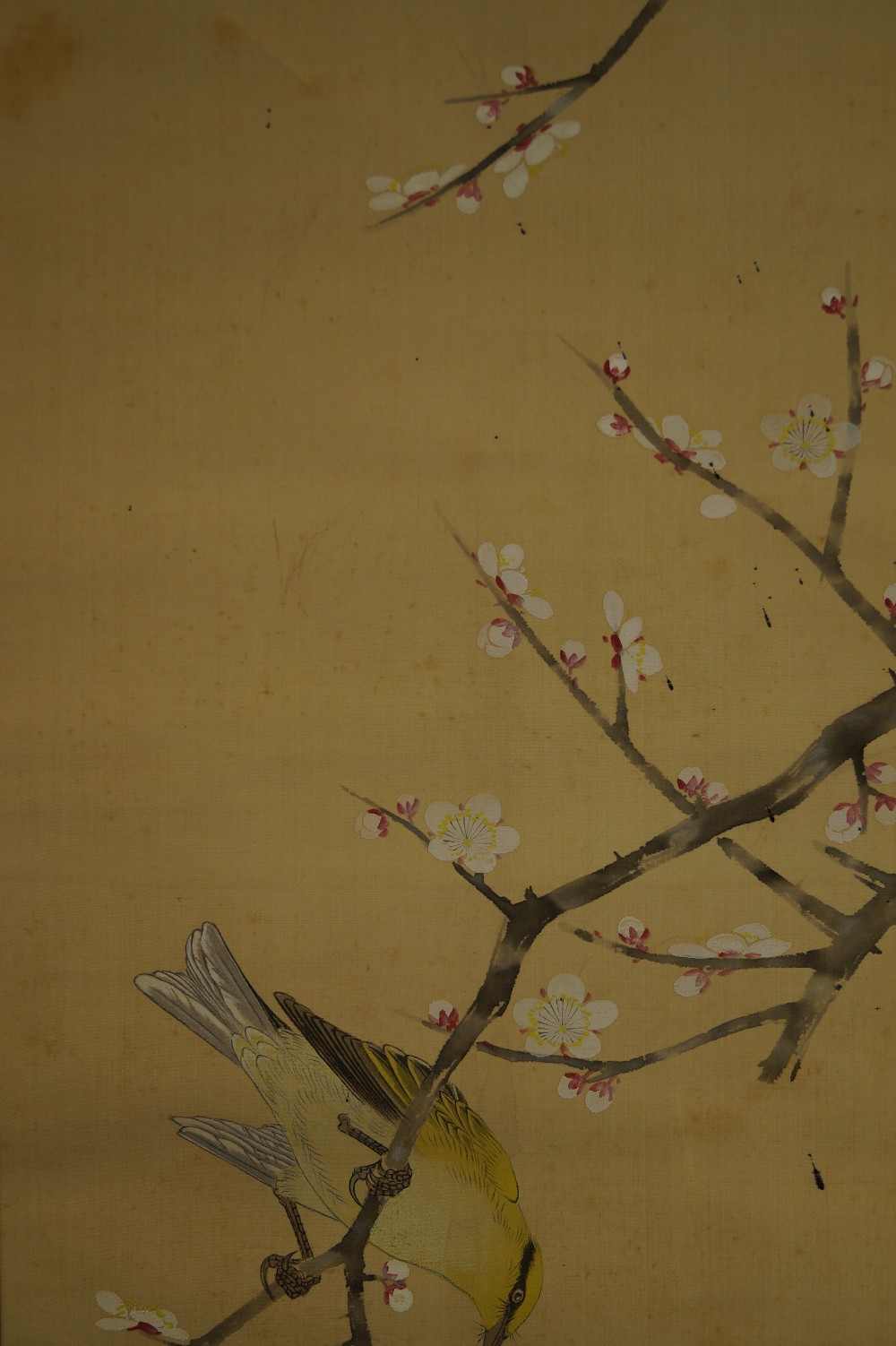 Bird and Plum Blossoms by Hiroshi Matsuda Blossom Motif Close-Up 2